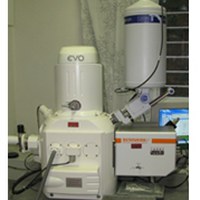a sem image